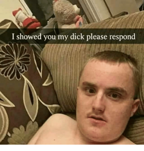 I showed you my meme example 2